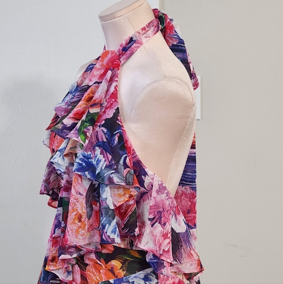 BHLDN Anthropologie Isabel Halter Ruffle Chiffon Floral Maxi Dress - Picture 6 of 14